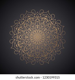 luxury mandala pattern design vector