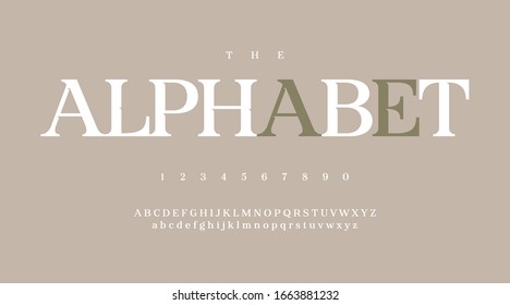 Luxury minimal classic modern typeface typo typography alphabet fonts and number, uppercase lowercase and number. Vector illustration.