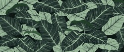 Luxury Nature Leaves Background Vector. Floral Pattern, Tropical Leaf With Line Arts, Jungle Plants, Exotic Pattern With Palm Leaves. Vector Illustration.