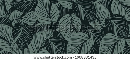 Similar – Image, Stock Photo Background withMonstera leaves on a light green background