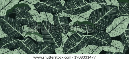 Similar – Image, Stock Photo Background withMonstera leaves on a light green background