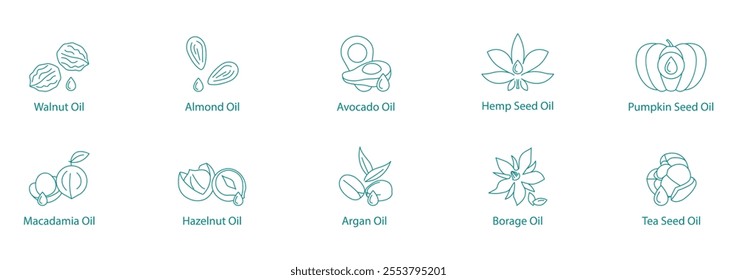 Luxury Nut and Seed Oils Vector Icon Set: Walnut, Almond, Avocado, Hemp, Pumpkin Seed, Macadamia, Hazelnut, Argan, Borage, Tea Seed