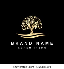 Luxury Oak Tree Logo With River, Lake Or Water. Golden Gradient Color