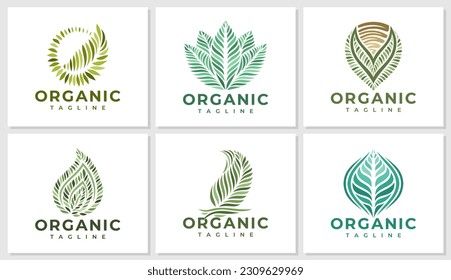 Luxury organic vegan leaf logo design set. Elegant natural plant leaf logo.
