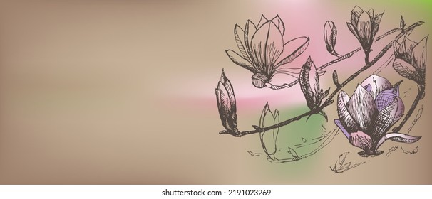 Luxury pastel magnolia background vector: flower and branch. Vector hand drawn illustration. Botanical rustic trendy wedding herb