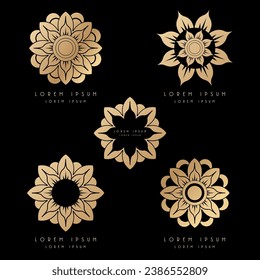 Luxury pattern with elegant flower design 