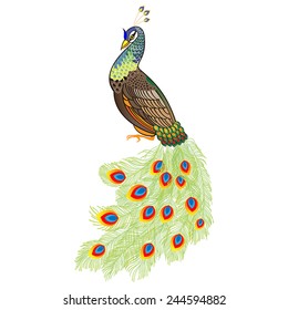 Luxury peacock