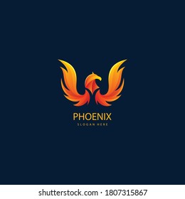 luxury phoenix logo concept. best phoenix bird logo design