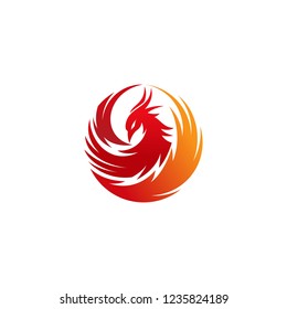 Luxury Phoenix Logo Concept Stock Vector