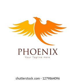 luxury phoenix logo vector - Vector 