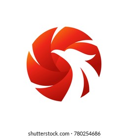 luxury phoenix logo vector