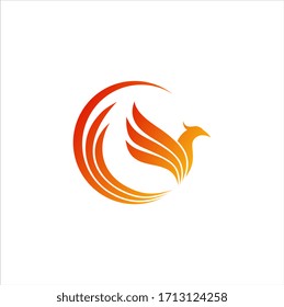 luxury phoenix logo vector. Creative Phoenix bird logo vector design illustration