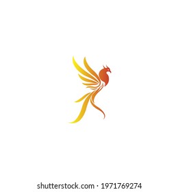 luxury phoenix logo vector. Creative Phoenix bird logo vector design illustration