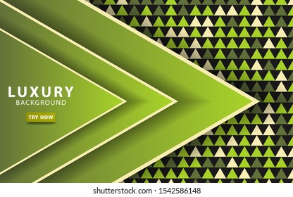 luxury premium  green abstract overlay layers background. Realistic light effect on textured green and black triangle background.with white line.digital template,vector illustration.