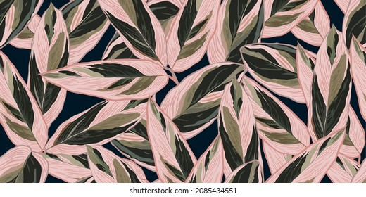 Luxury realistic and nature green background vector. Tropical leaves seamless pattern. Stromanthe triostar. design for interior design, Background, fashion, fabric, wallpaper, gift paper, and textiles