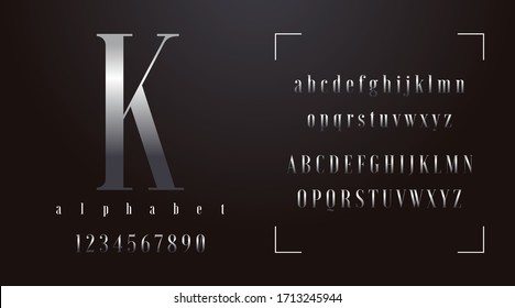 Luxury royal modern fonts and alphabet, expensive trendy minimal classic urban futuristic typeface typo typography and number. Vector illustration.