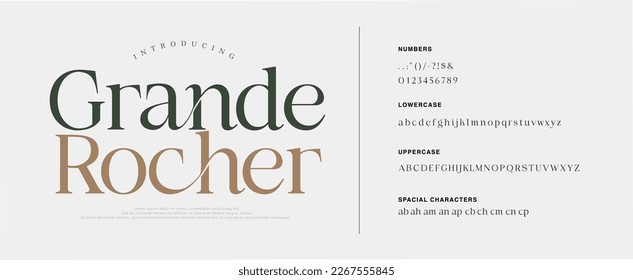 Luxury sans serif alphabet letters font and number. Classic Lettering Minimal Fashion. Typography decorative wedding fonts and logo. vector illustration