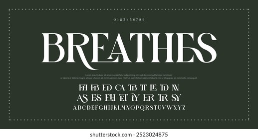 Luxury sans serif alphabet letters font and number. Classic Lettering Minimal Fashion Designs. Typography decorative wedding fonts and logo. vector illustration.