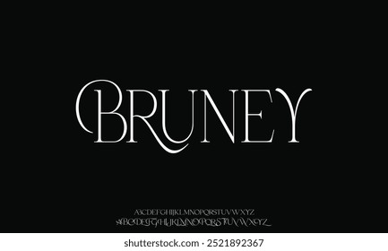 Luxury serif font in modern style. Elegant wedding alphabet letters font and number. Typography Luxury classic lettering serif fonts decorative vintage retro logo