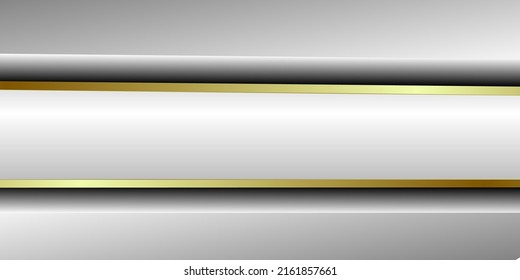 Luxury silver and gold background vector