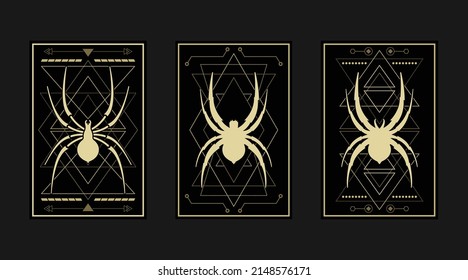 araña de lujo, fondo vectorial, arte de línea, estilo elegante