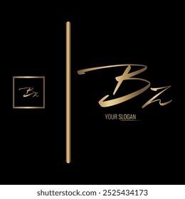 Luxury stylish BZ letter vector logo design