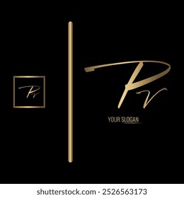 Luxury stylish PV letter vector logo design