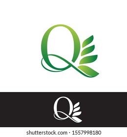 Luxury Tropical Nature Leaves letter Q logo. Simple Vector design concept logo icon letter Q with tropical leaves for luxuries business, hotel, wedding service and more business identity.