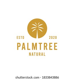 Luxury Tropical Palm Tree logo design Vector