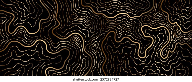 Luxury wavy golden linear banner. Abstract technology background. Shiny gold waves on black background. Swirl pattern. Template with gradient lines. Curved lines. Flowing liquid
