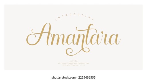 Letra de letras del alfabeto de bodas de lujo. Tipografía elegante letras clásicas serif y número retro vintage decorativo con concepto de colas. ilustración vectorial