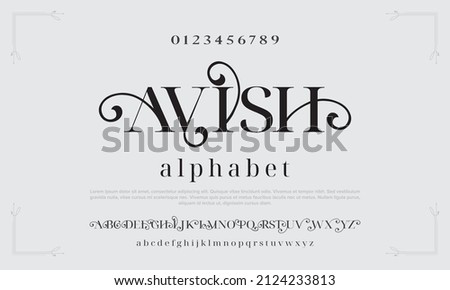 Luxury wedding alphabet letters and numbers. Ellegant typography classic serif font decorative vintage retro. Creative vector illustration Stock photo © 