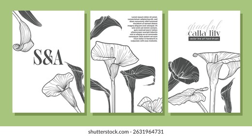 Luxury wedding invitation card background vector. Elegant botanical flower decorate with line art calla lily flowers template background. Design illustration for wedding and cover template, banner.