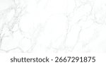 Luxury white gray marble texture background vector. Panoramic marbling texture design for Banner, invitation, wallpaper, headers, website, print ads, packaging design template. marble