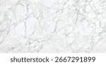 Luxury white gray marble texture background vector. Panoramic marbling texture design for Banner, invitation, wallpaper, headers, website, print ads, packaging design template. marble