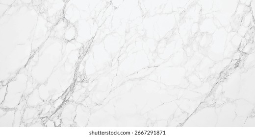 Vector de fondo de textura de mármol gris blanco de lujo. Diseño de textura de mármol panorámico para Anuncio, invitación, Fondo de pantalla, encabezados, Sitio web, anuncios impresos, Plantilla de diseño de embalaje. mármol