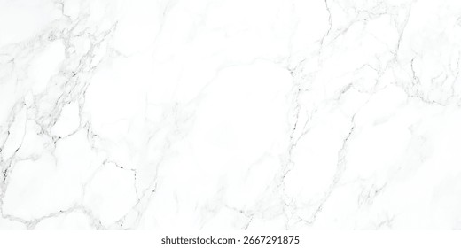 Luxury white gray marble texture background vector. Panoramic marbling texture design for Banner, invitation, wallpaper, headers, website, print ads, packaging design template. marble