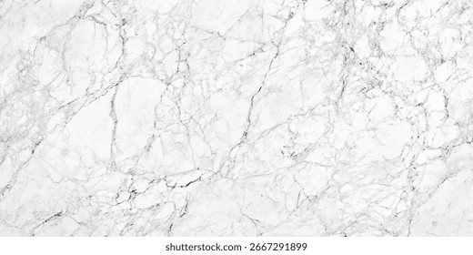 Luxury white gray marble texture background vector. Panoramic marbling texture design for Banner, invitation, wallpaper, headers, website, print ads, packaging design template. marble