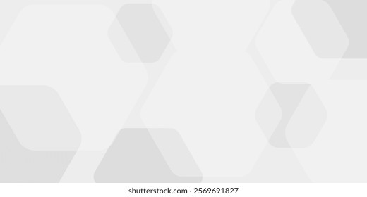 Luxury white and grey hexagonal abstract background. Geometric 3d texture illustration. Abstract hexagonal concept technology, banner and wallpaper background.