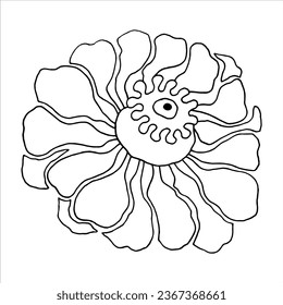 Luxury zinnia flowers for trendy backgrounds and patterns of wrapping paper, fabrics, wallpapers black and white vector outline on a white background