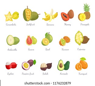 Lychee and carambola set with names and tropical fruits vector. Pineapple and cupuacu, bael and mamey salak and avocado, kumquat and kiwano ambarella