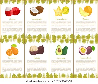 Lychee coconut and carambola tropical exotic fruits vector. Kumquat and salak, avocado and melon, organic products healthy assortment poster with text