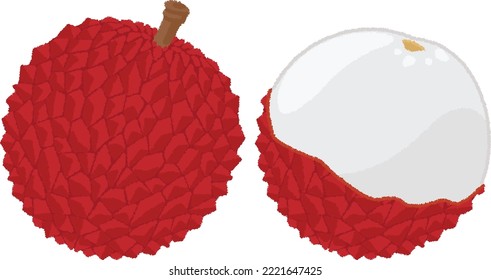 The lychee is covered with a hard skin, but when the skin is peeled off, a white, translucent, soft flesh is revealed. It has a unique aroma and a perfect balance of sweet and sour.