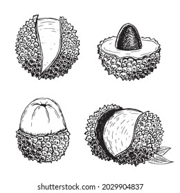 Dibujos liqués de doodle. Fruta exótica. Vector	
