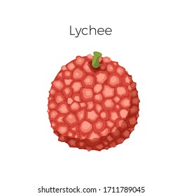 Fruta exótica liquesa. comida fresca y saludable. Ilustración de vectores aislada en blanco