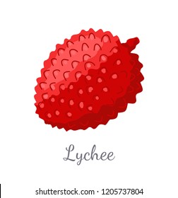 Lychee exotic juicy fruit vector isolated. Litchi liechee, liche and lizhi, li zhi, or lichee tropical edible food, dieting vegetable full of vitamins