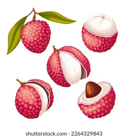 lychee food fruit set cartoon. fresh tropical, ripe asian, litchi exotic, lichi healthy, juicy red, lichee sweet, pink lychees food fruit vector illustration