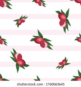 Lychee Fruit Cartoon Character Design Grafik geeignet für Ihre Design-Anforderungen: Logos, Illustrationen, Animationen, T-Shirt-Designs usw.