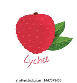 Lychee, fruit doodle drawings vector illustration.