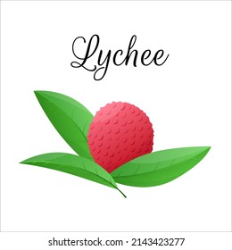 Lychee fruit drawings. Summer tropical and vegetarian food for healthy lifestyle. Asian fruits for juice. Dieting vegetable. Stock vector illustration. Cartoon flat icon. Isolate on white background